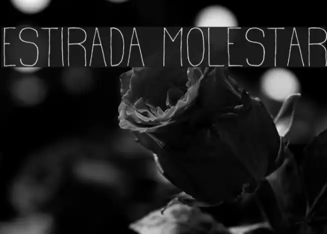Estirada Molestar Font examples