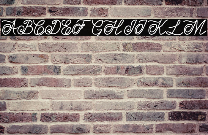 Estonia Polices examples