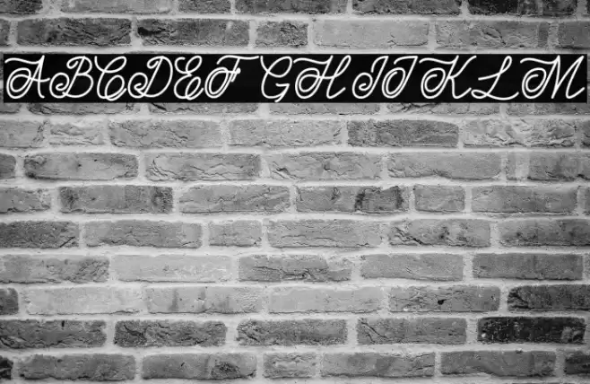 Estonia Polices examples