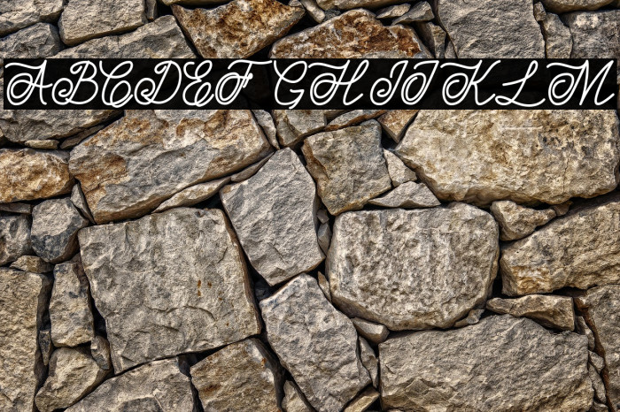 Estonia Polices examples