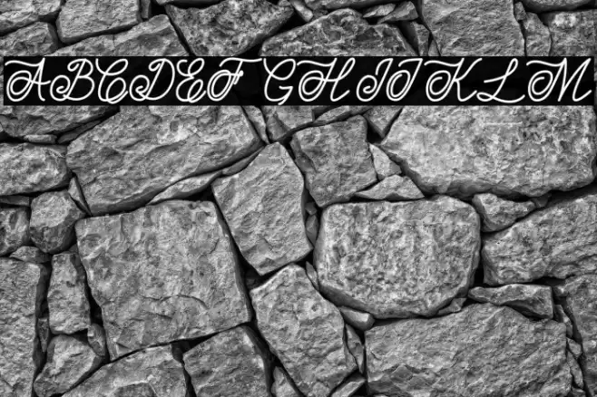 Estonia Polices examples