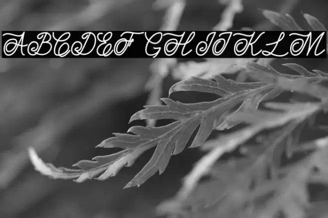 Estonia Polices examples