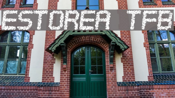 Estorea tfb Font examples