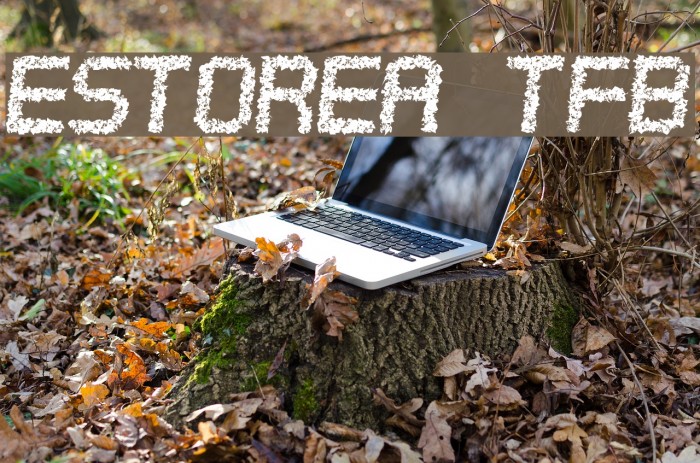 Estorea tfb Font examples