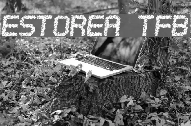 Estorea tfb Example 2