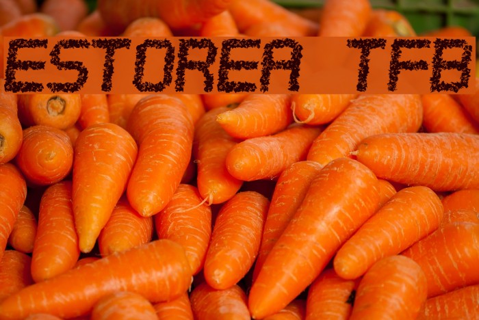 Estorea tfb Font examples