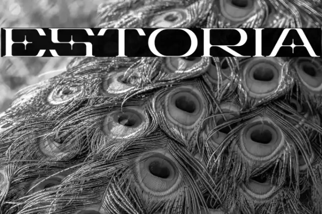 Estoria Example 1