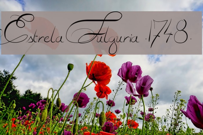 Estrela Fulguria .1748. Font examples