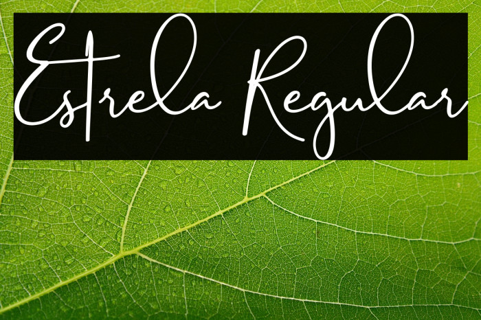 Estrela Regular Example 1