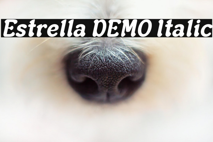 Estrella DEMO Italic Example 1