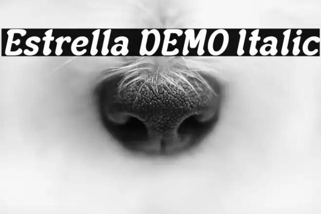 Estrella DEMO Italic Шрифта examples