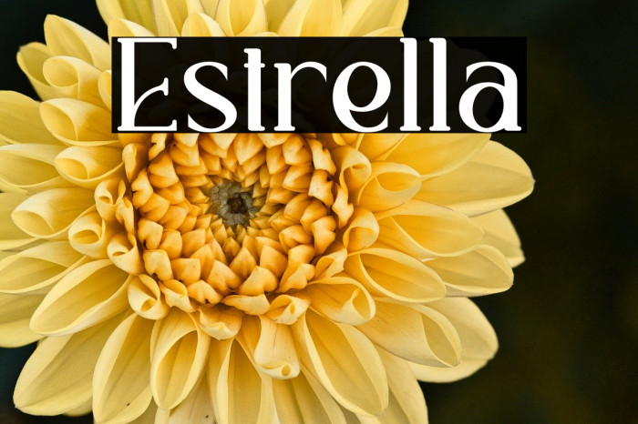 Estrella Example 2