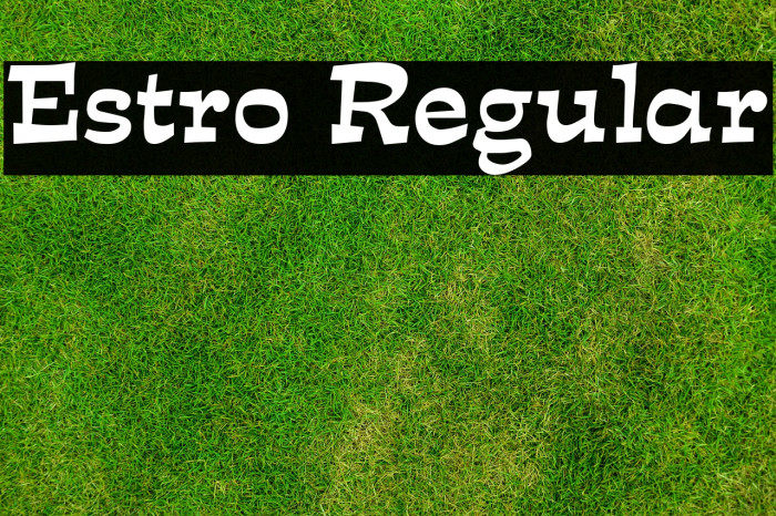 Estro Regular フォント examples