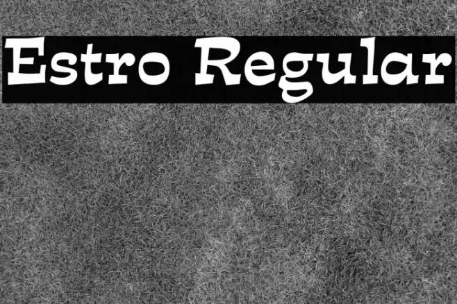 Estro Regular フォント examples