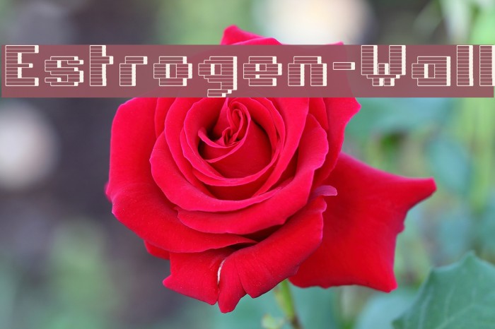 Estrogen-Wall Font examples