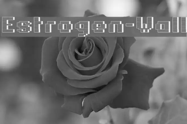 Estrogen-Wall Example 1