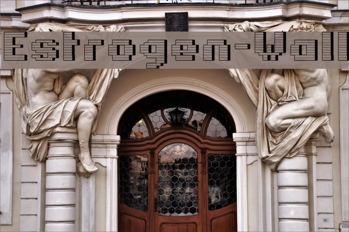 Estrogen-Wall Font examples