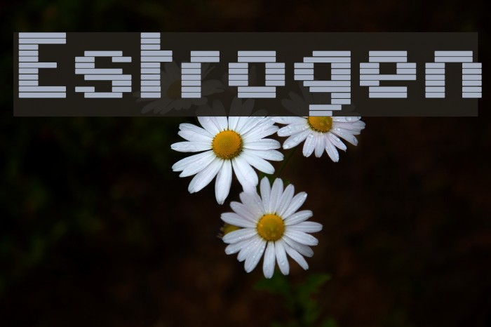 Estrogen फ़ॉन्ट examples