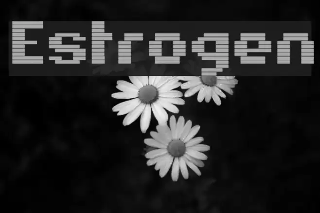 Estrogen Font examples