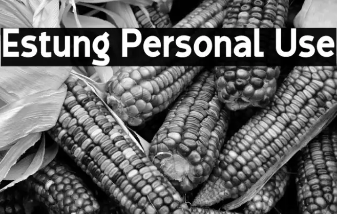 Estung Personal Use Example 2