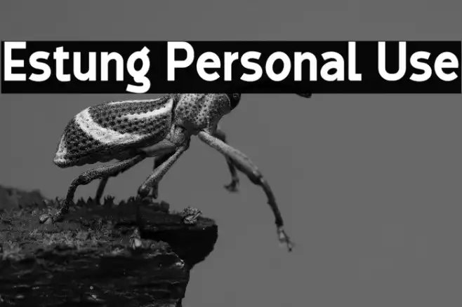 Estung Personal Use Example 3