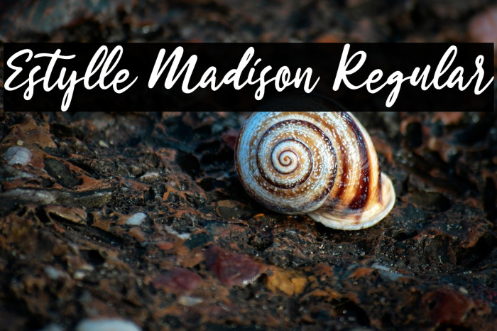 Estylle Madison Regular Example 1