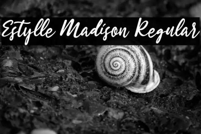 Estylle Madison Regular Example 1