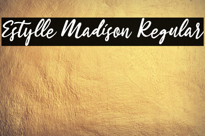 Estylle Madison Regular Example 2