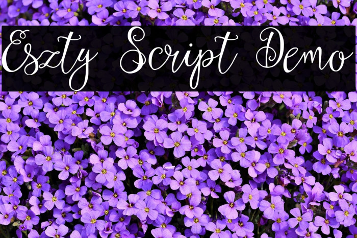 Eszty Script Demo Font examples