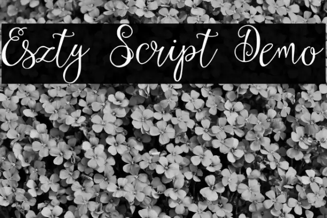 Eszty Script Demo フォント examples