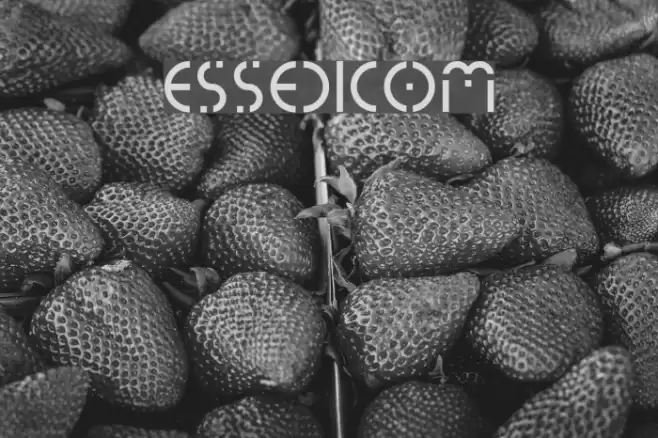 essedicom Font examples