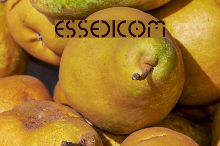 essedicom Fuentes examples