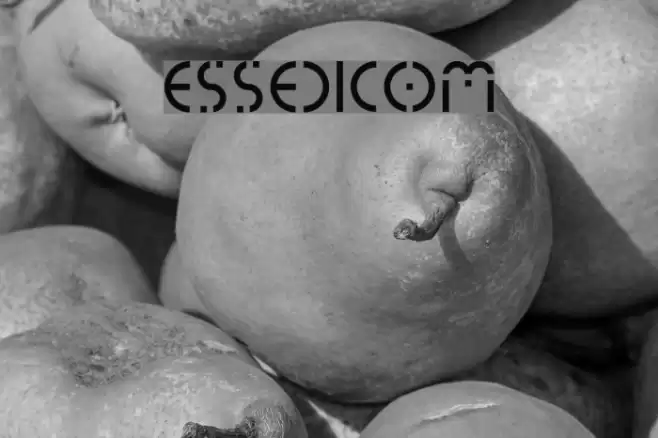 essedicom Font examples