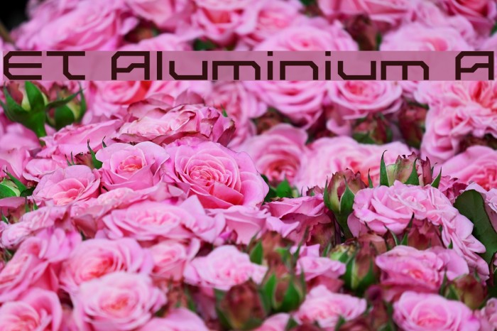 ET Aluminium A Font examples