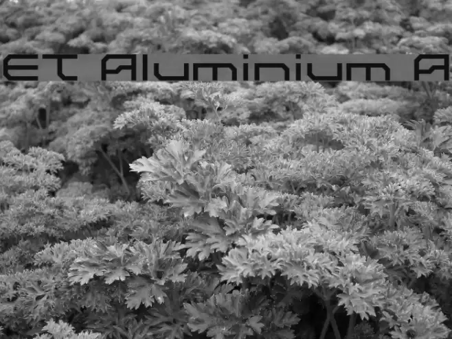 ET Aluminium A Font examples