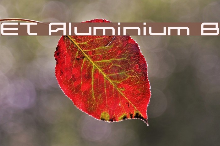 ET Aluminium B Font examples