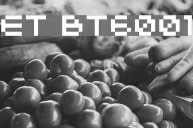 ET BT6001 Font examples