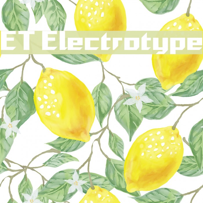 ET Electrotype Font examples