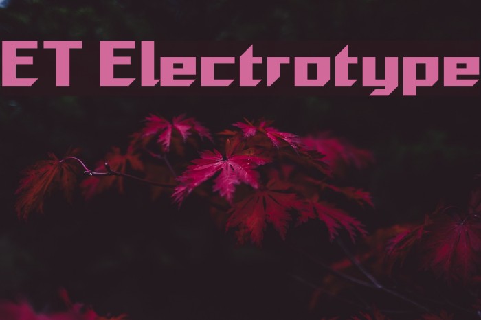 ET Electrotype Font examples