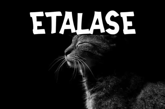 ETALASE Polices examples