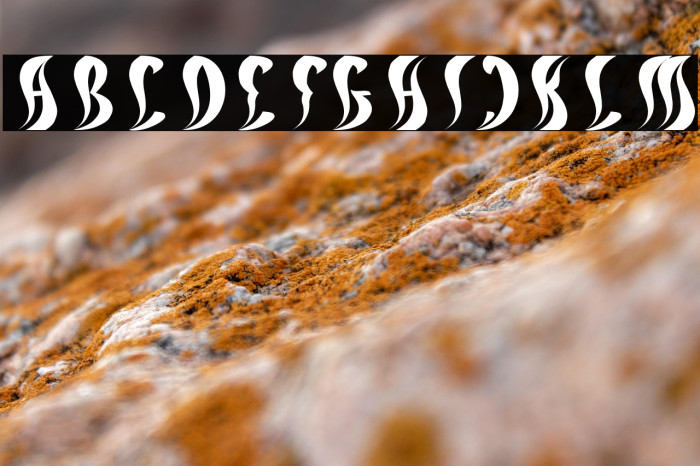 ETERNAL FLAME Italic Example 1