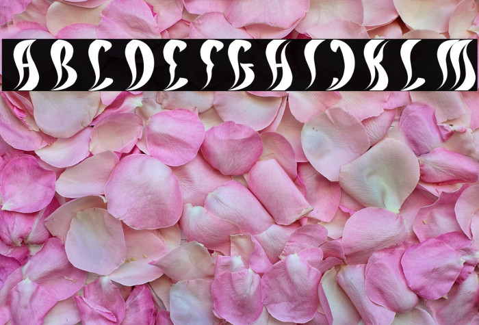 ETERNAL FLAME Italic Example 2