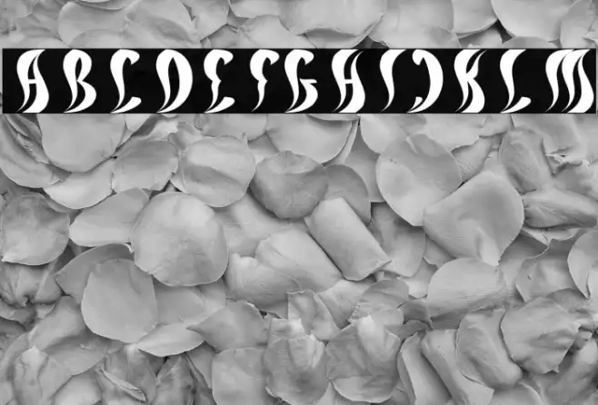 ETERNAL FLAME Italic Example 2