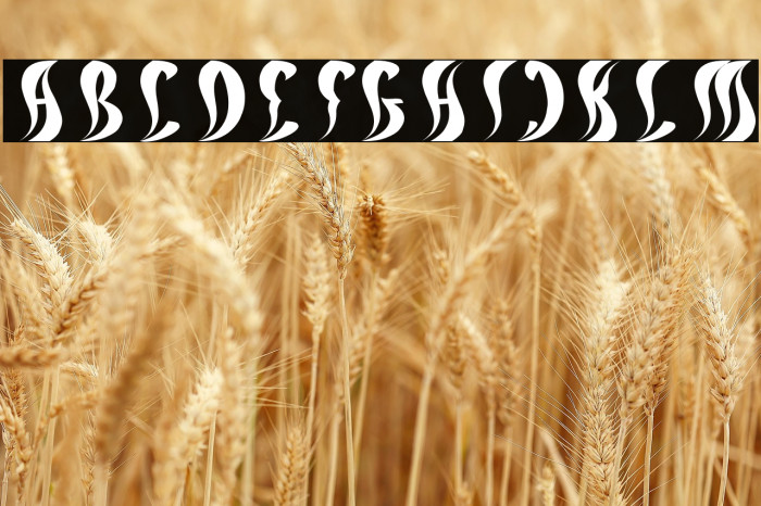 ETERNAL FLAME Italic Example 3