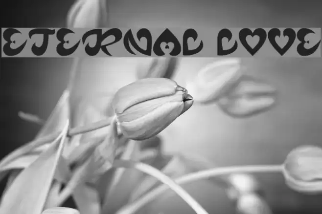 ETERNAL LOVE Font examples