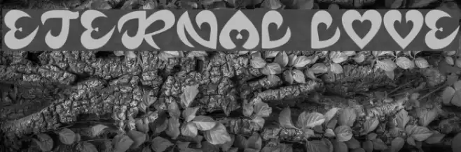 ETERNAL LOVE Font examples