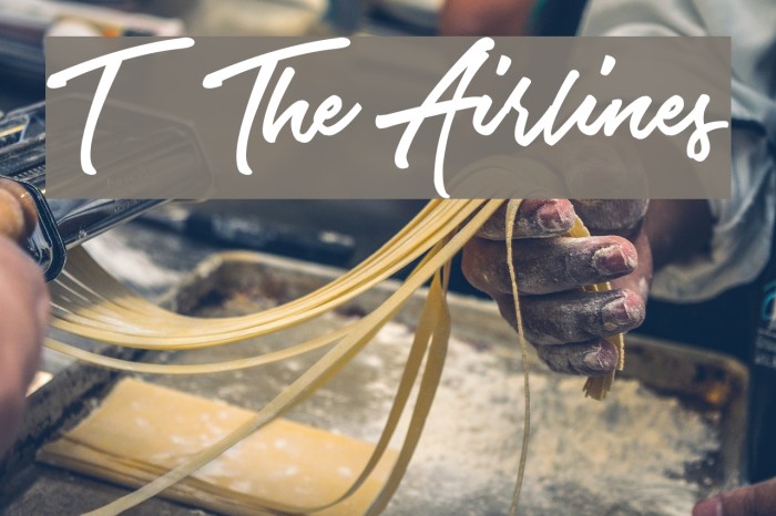 ETF The Airlines Font examples