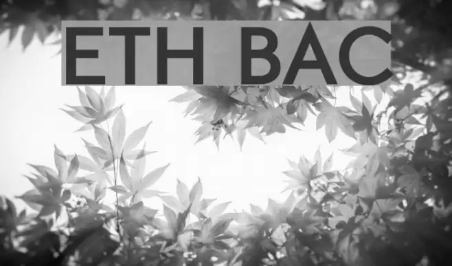 ETH Black Font examples