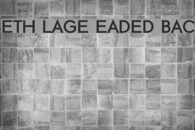 ETH Large Expanded Black Font examples