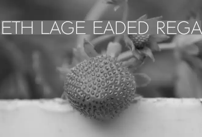 ETH Large Expanded Regular Font examples
